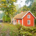 Nordiska skogar som bjuder på ro och återhämtning